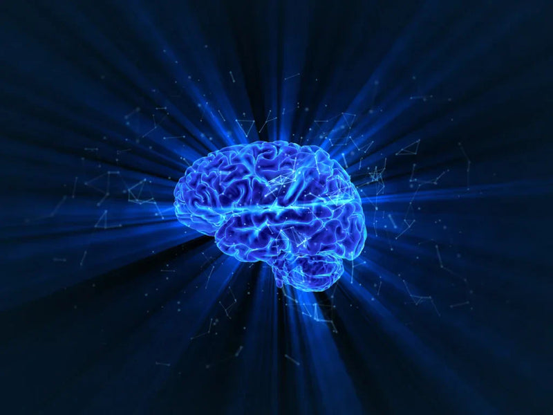 representacion de conexiones cerebrales