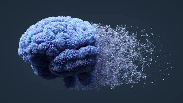 representacion cerebro